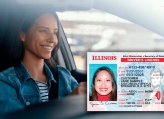 Illinois | Requisitos para tramitar la licencia de conducir comercial