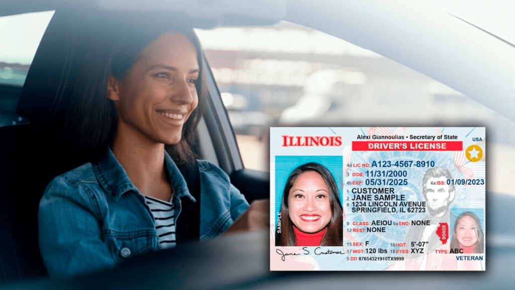 Illinois | Requisitos para tramitar la licencia de conducir comercial