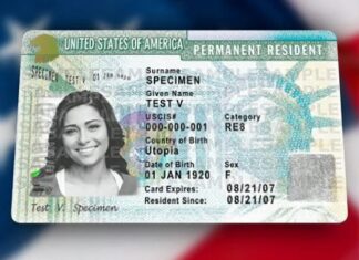 EEUU | Conozca los motivos por los que podría perder la Green Card