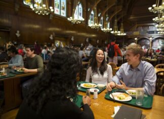 EEUU | Así se prepara el plato más consumido por los estudiantes de Harvard