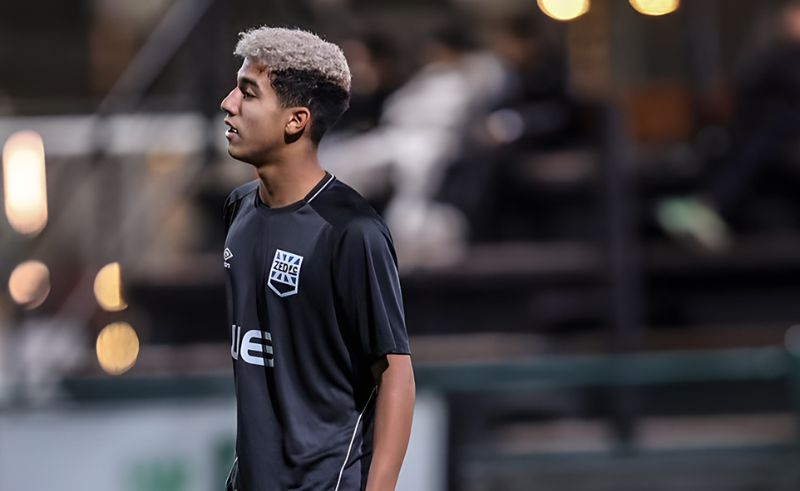 El hermoso gesto de un futbolista inglés con un gato que entró a la cancha