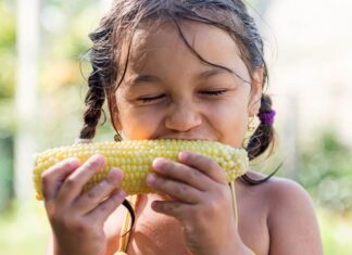 Illinois| El Summer EBT ofrecerá subsidio alimenticio a los niños durante el verano