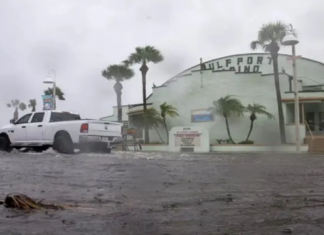 EEUU | Debby se convierte en tormenta tropical: Conozca su trayectoria