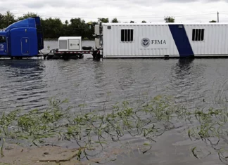 Texas | ¿Cómo recibir inmediatamente los $750 de ayuda de FEMA?