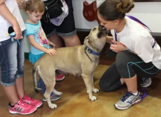 Sepa dónde habrá jornadas de adopción de mascotas en Texas y Chicago (+Fechas)