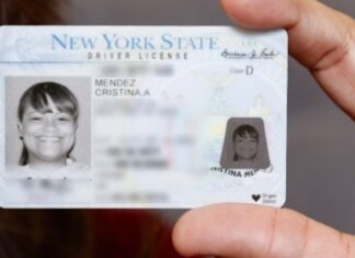 Nueva York: Sepa cómo tramitar la licencia de conducir para indocumentados (+Paso a paso)