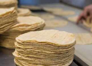 EEUU | Estas tiendas venden masa para tortillas mexicanas en Dallas (+Detalles)