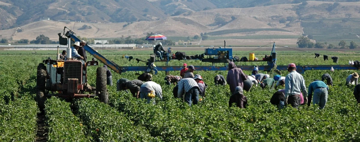 Activan pago de $600 para trabajadores agrícolas indocumentados en Illinois: ¿Cómo solicitar el monto?