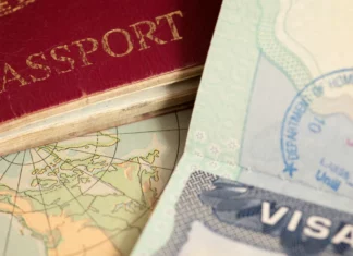 EEUU | Tres formas de rastrear el estatus de su visa (+Paso a paso)